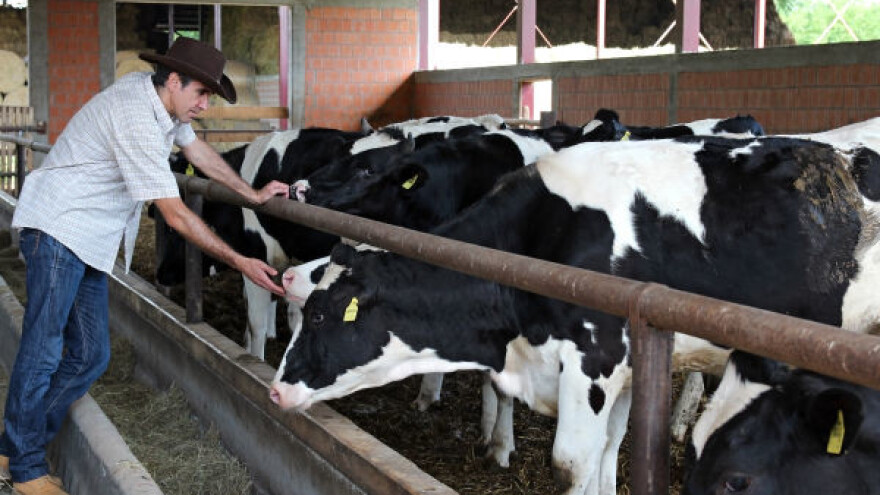 Stočari strahuju od nedostatka stočne hrane