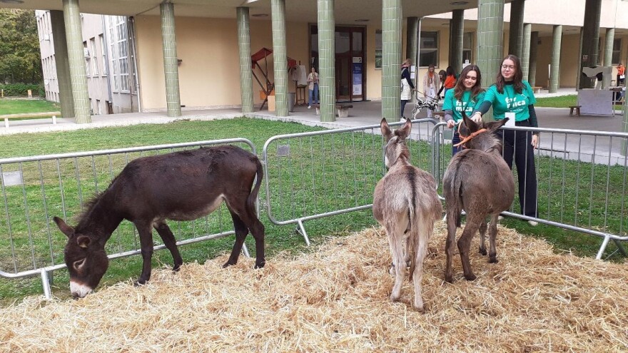 Upoznajte Hrvatsku kroz životinje na 3. edukativnoj izložbi Farmica u Zagrebu