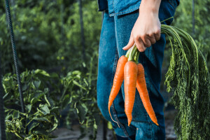 Zahvaljujući Programu ruralnog razvoja više od 4.000 novostvorenih radnih mjesta