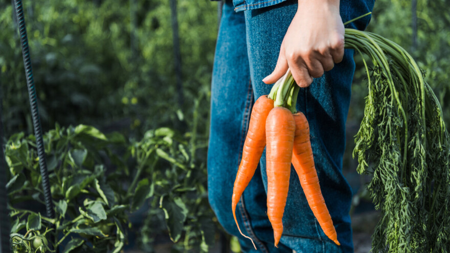 Zahvaljujući Programu ruralnog razvoja više od 4.000 novostvorenih radnih mjesta