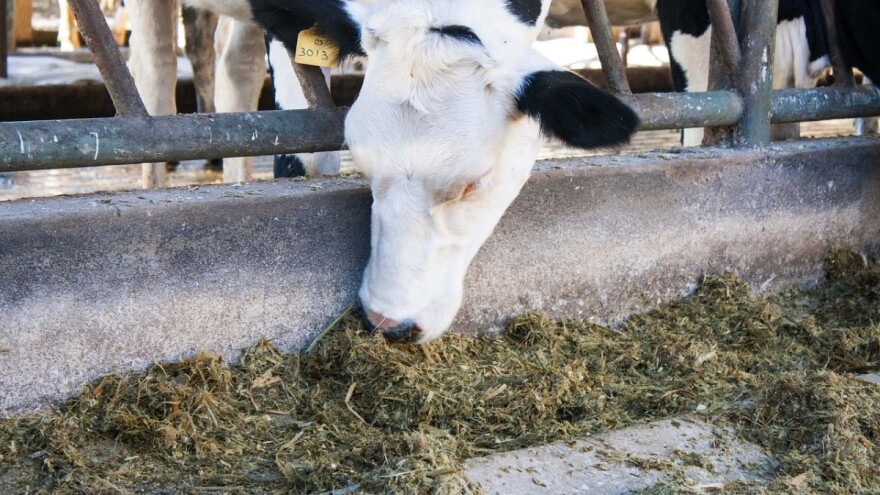 Banke počele rasprodaju Farmlanda, porezna se ne može naplatiti?