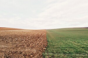 Nacrt prijedloga zakona o izmjenama i dopunama Zakona o poljoprivrednom zemljištu