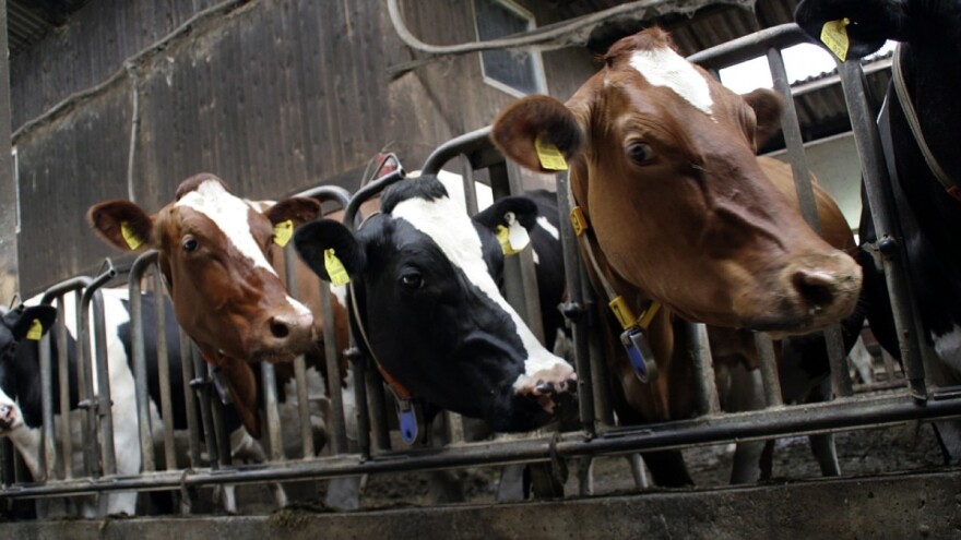 Država ulupala milione, ostali samo dugovi