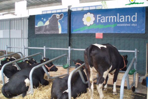 Tko je kriv za dugove i propast Farmlanda?