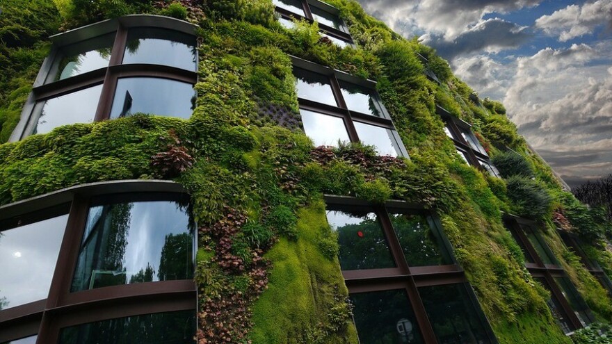 Pripremaju se za letnje vrućine - u Beču ozelenjuju 50 fasada