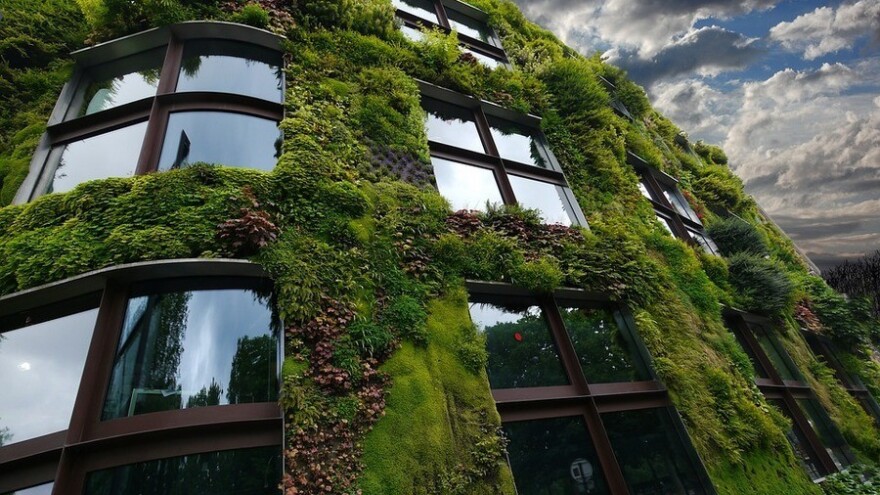 Pripremaju se za ljetne vrućine - u Beču ozelenjuju 50 fasada