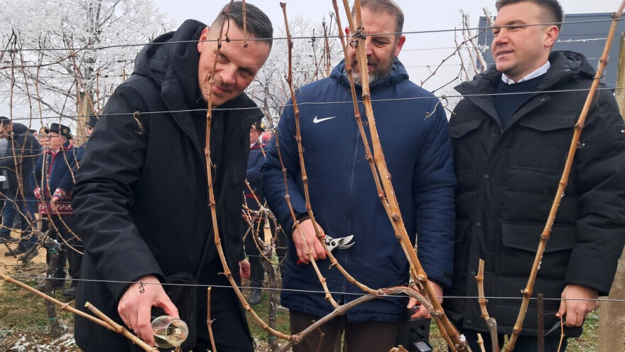 10. Vincekovo na pokušalištu FAZOS-a u Mandićevcu - dogodine u novom prostoru