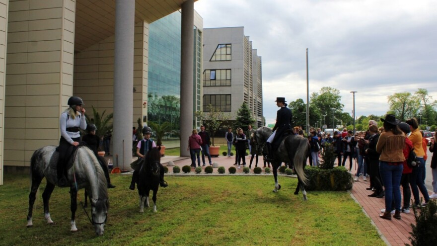 Konji, pilići, zečevi, janje... oduševili djecu na FAZOS-ovom 18. Festivalu znanosti