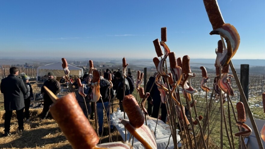 Bilo snijeg, bilo kiša na sv. Vinka se mora u vinograd, evo gdje proslaviti blagdan