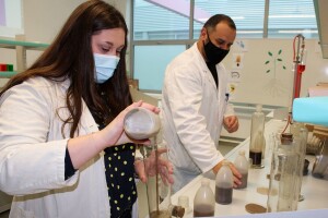 Na FAZOS-u i Agronomskom fakultetu upisi idući tjedan: Predviđeno više od 700 mjesta