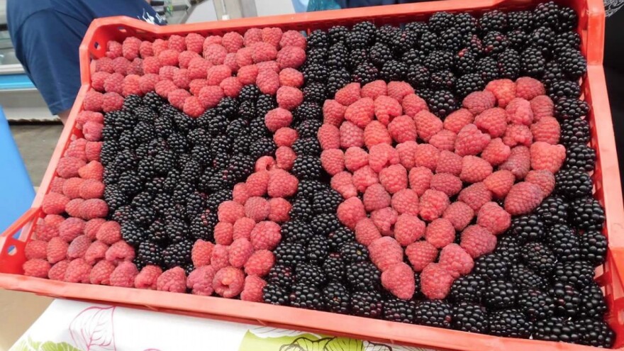 Dani maline i meda u Žepču ugostit će više od 90 izlagača