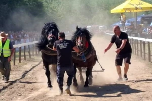 Borba za fond od 3 hiljade eura: Brodska štraparijada okupila oko 5 hiljada posjetilaca