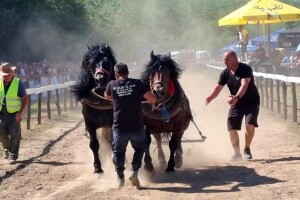 Borba za fond od 3 hiljade eura: Brodska štraparijada okupila oko 5 hiljada posjetilaca