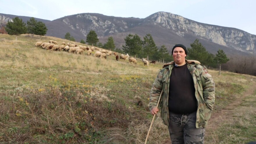Mladi pastir Đorđe čuva ovce od malena: Austrija ga ne zanima, ostaje na dedovini
