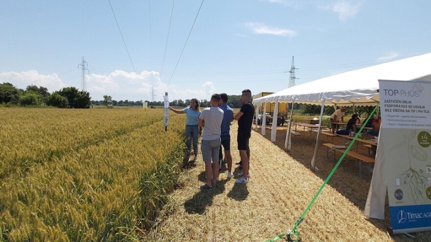 Demo polja uljane repice i pšenice: Ciljana gnojidba i posebno dizajnirana gnojiva za usjeve