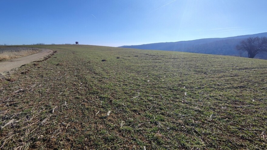 Savjeti ratarima: Provjerite usjeve i zakopajte rupe, s prihranom ne žurite