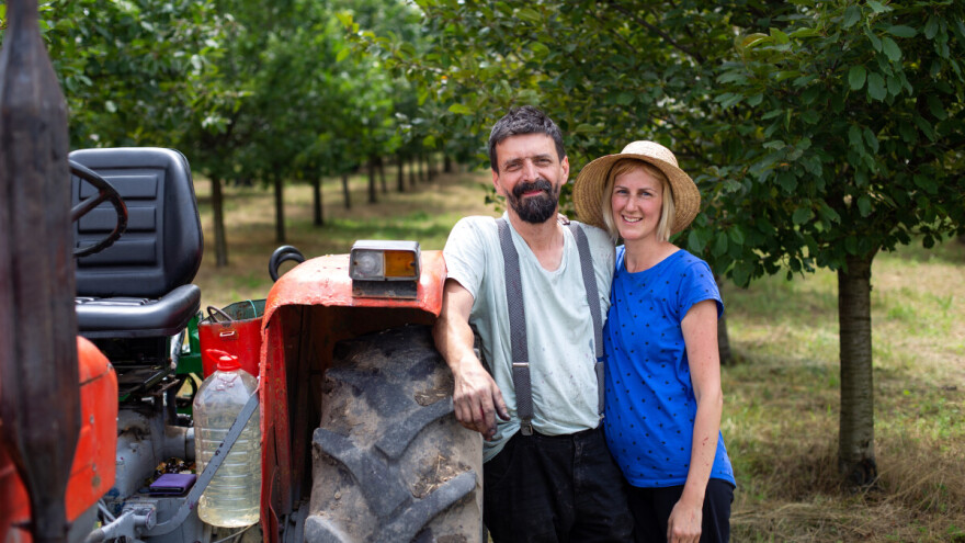 Iz Beograda među feketićke višnje -  prave organski sok i jedinstveno ulje od koštica