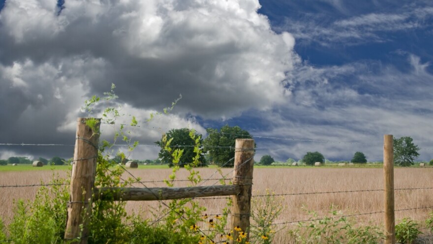 Nova sedmica donosi oblačno vrijeme sa mogućom grmljavinom i kišom