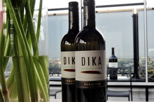 Nove etikete i vina Ferovinove linije Dika