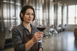 FeraVino sve uglednija vinska kuća