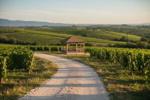 Feričanici i Beremend traže EU novac za vinsku cestu