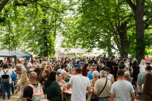 Idući vikend posjetite Baranjski bećarac i Festival Tista: Očekuje vas bogat program