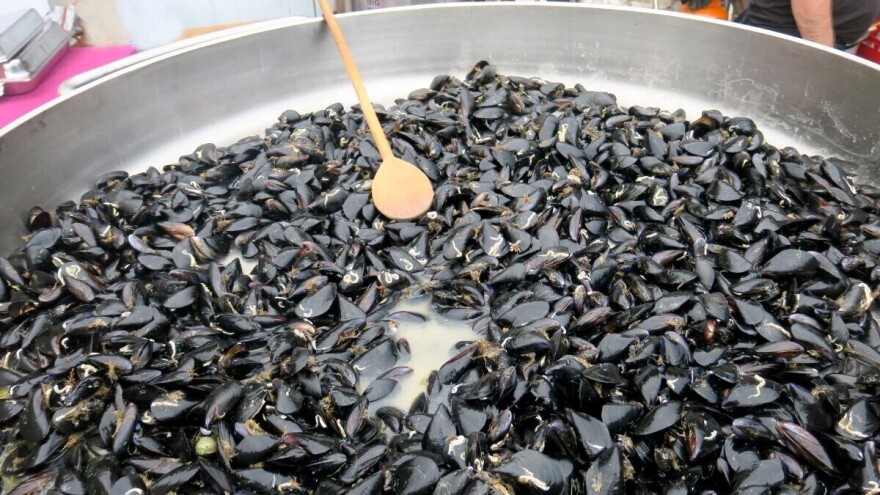 Ribarska noć i Fešta od daganja u Rovanjskoj