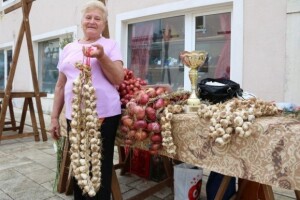 Podsvilajski češnjak osvaja tržišta