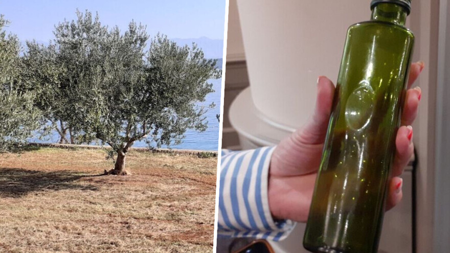 Treba li nam nacionalna staklenka za maslinovo ulje?