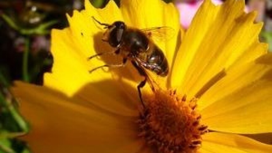 4. Festival pčelarstva Zagrebačke županije