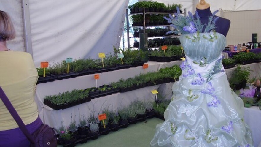 Festival samoniklog bilja u Kršanu