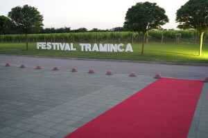 Osim u vinu, na 2. Festivalu traminca moći ćete uživati i u raznim vrstama čokolade
