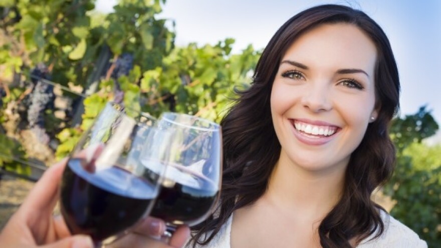 Dalmacija Wine Expo 2014.