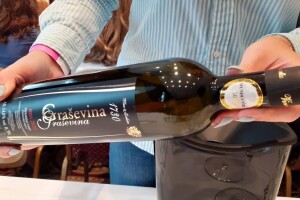 Zemlja vina u čast naše gospodarski najvažnije sorte. Znate li na koliko ha se uzgaja graševina?