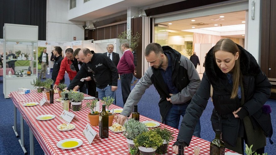 Sudjelujte na zimskom druženju maslinara na 4. Festivalu maslina u Zagrebu