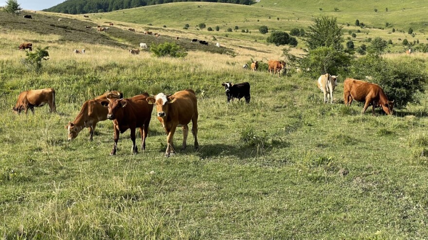 APPRRR objavila kalkulator: Koji je broj dana napasivanja preporučen na pojedinoj parceli?