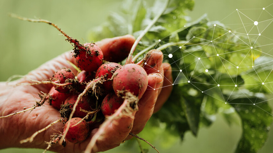 Sledljivost hrane važna je i korisna priča proizvodnog procesa