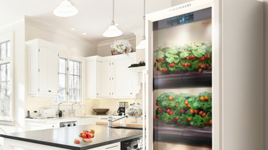 Da li bi uzgajali voće i povrće u kuhinji?