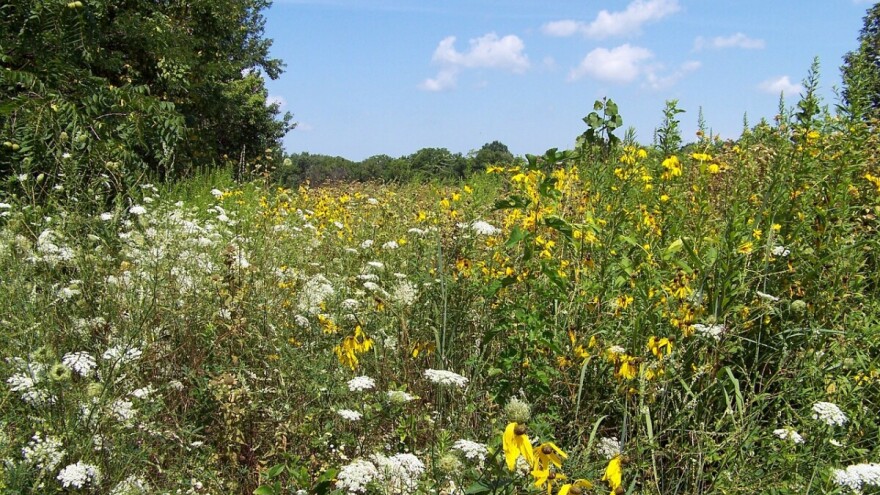 BiH: Neiskorišteno 50 posto poljoprivrednog zemljišta, a hranu uvozimo
