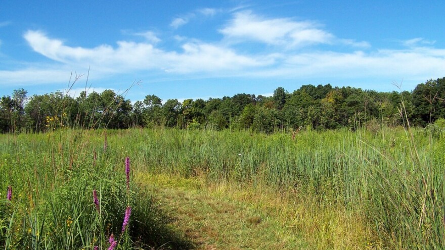 Nestaju plodne oranice Lijevče polja, Semberije i trebinjskog područja