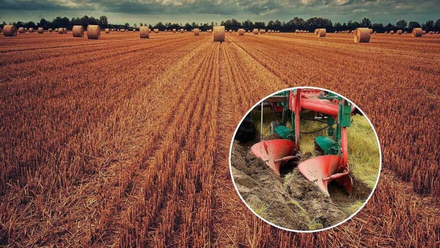 24 sata nakon žetve obavite ljuštenje zemljišta