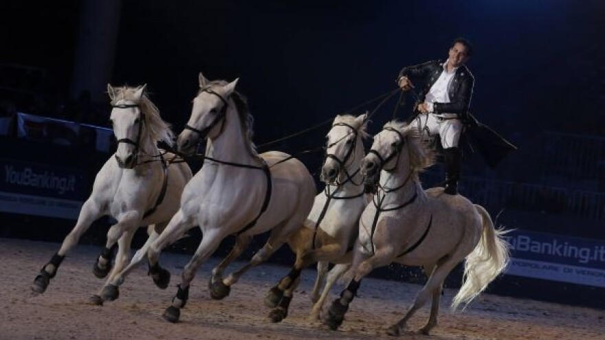 Besplatne ulaznice za ljubitelje konja!