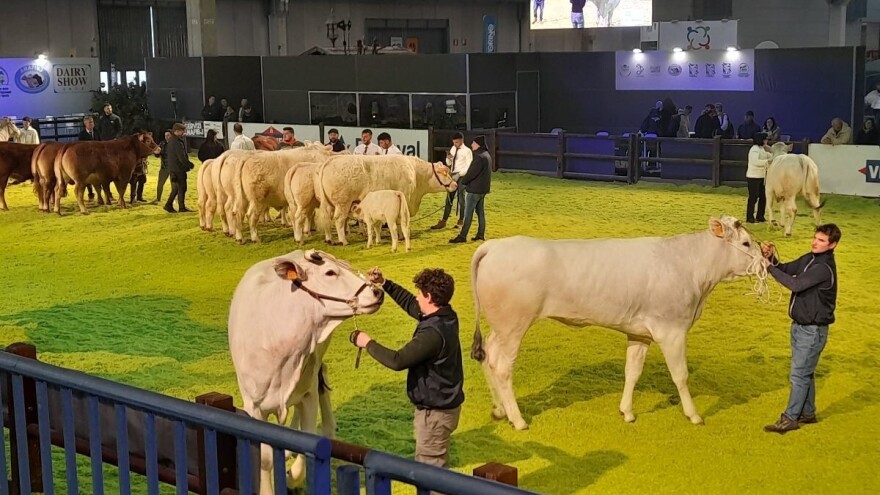 Poljoprivrednici su pokretačka snaga zemlje, čvrst je to stav Talijana
