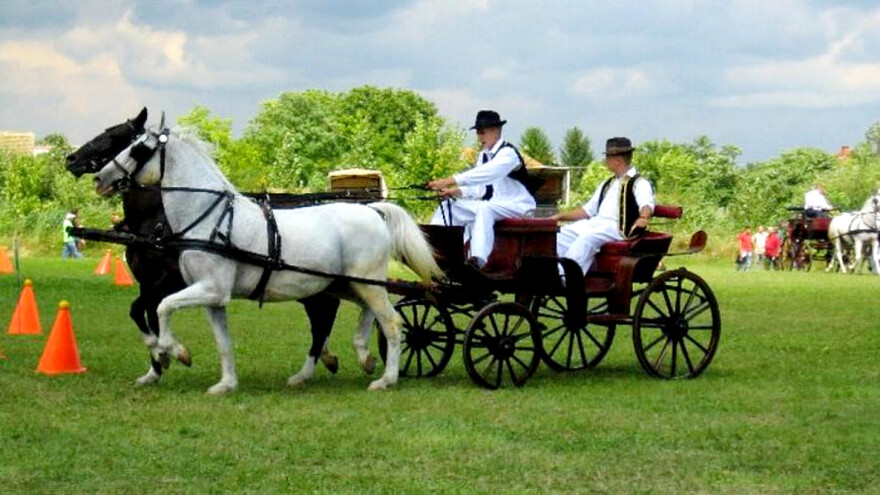 Ravnoselska fijakerijada: Ko će podići trofej Kupa Ravnog Sela?