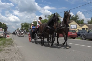 Kada Sremac sremuje - muzika, gozba i konji