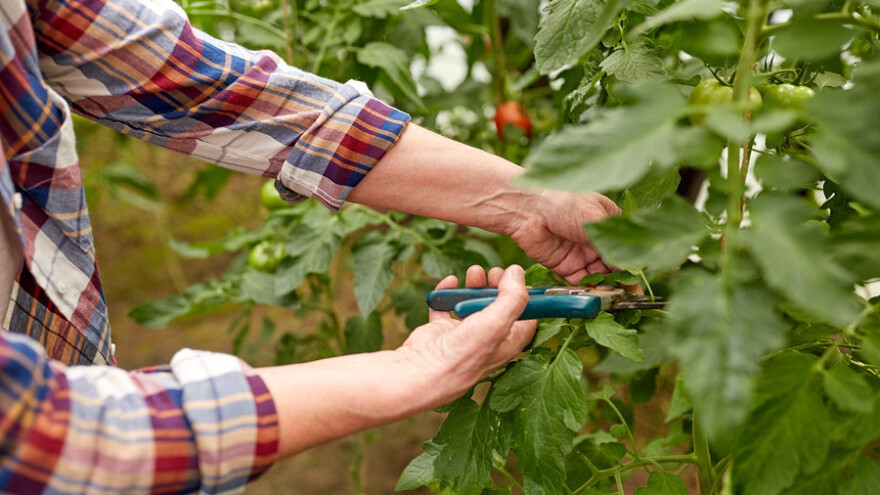 U blokadi 896 OPG-a, dug se popeo na 442,9 milijuna kuna