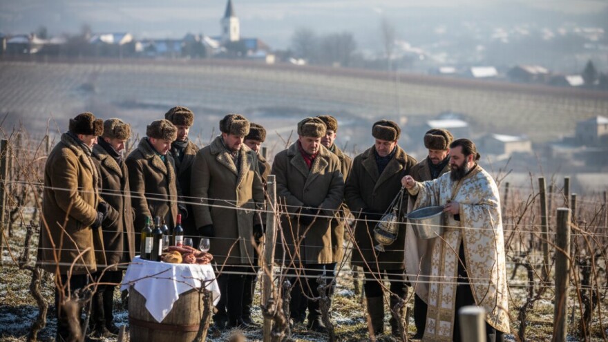 Fina vina Brdovečkog kraja