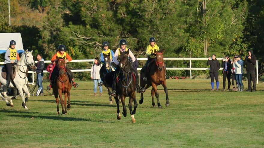Balkansko prvenstvo u daljinskom jahanju po prvi put u Hrvatskoj