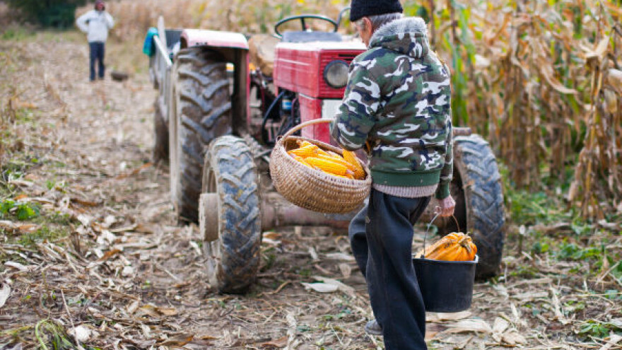 4 miliona eura za financiranje poljoprivrede