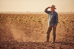 Financiranje štete i do 100 posto!